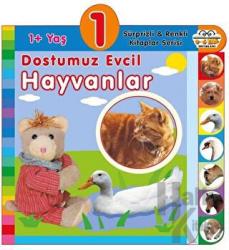 1+ Yaş Dostumuz Evcil Hayvanlar (Ciltli) Sürprizli ve Renkli Kitaplar Serisi