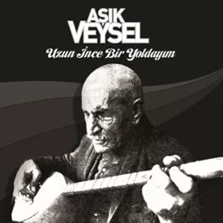 Aşık Veysel - Uzun İnce Bir Yoldayım (Plak)