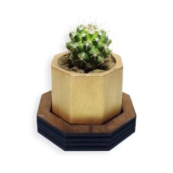 Ahşap Ayaklı 6gen Beton Saksı Altın Model 1 HK1657