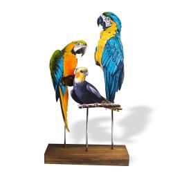 Ahşap Ayaklı Renkli Kuşlar Model 5 HK0366