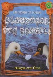 Black Head The Seagull Life Stories of Nature
