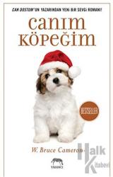 Canım Köpeğim Can Dostum'un Yazarından Yeni Bir Sevgi Romanı!