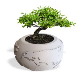 Dünya Desenli Beton Saksı Büyük Boy HK1522