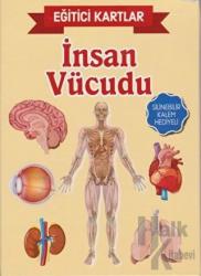 Eğitici Kartlar - İnsan Vücüdu