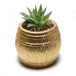 Fıçı Beton Saksı - Altın HK1535-A