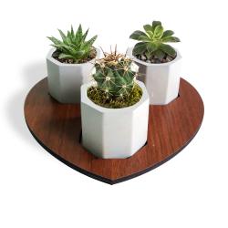 Kalp Ahşap Ayaklı 6gen Beton Saksı Seti HK1660