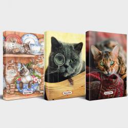 Kedili Defter Seti - 3 Defter V5