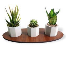 Oval Ahşap Ayaklı 6gen Beton Saksı Seti HK1661