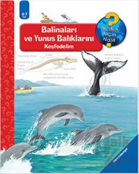 Ravensburger Maksi - Balinaları ve Yunus Balıklarını Keşfedelim (Ciltli)
