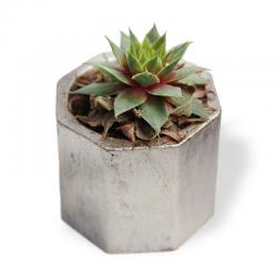 Sekizgen Silindir Beton Saksı, Gümüş - Küçük Boy HK1536-G