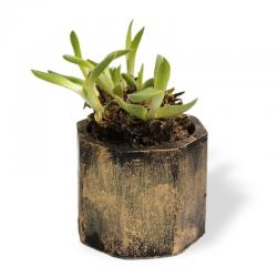 Sekizgen Silindir Beton Saksı, Siyah Üstüne Altın Varak  - Küçük Boy HK1536-SAV