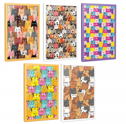 Sivri Kulaklar 5li 64 Sayfa Çizgili Okul Defteri Seti -2