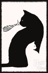 Siyah Beyaz Kedi Poster