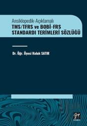 TMS/TFRS ve BOBİ-FRS Standardı Terimleri Sözlüğü