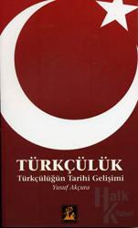 Türkçülük Türkçülüğün Tarihi Gelişimi