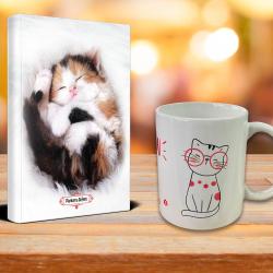 Uykucu Kedi Ajanda Sevimli Kedi Kupa Seti