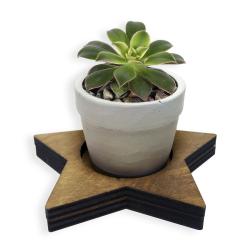 Yıldız Desenli Ahşap Ayaklı Konik Beton Saksı HK1650