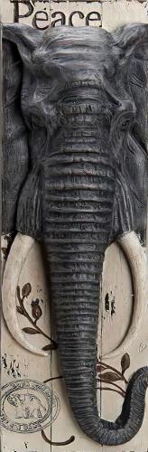 Wıldlıfe 4'lü Tablo - Halkkitabevi Wıldlıfe 4'lü Tablo - Halkkitabevi