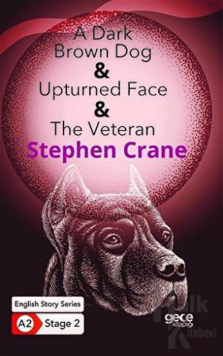 A Dark Brown Dog - Upturned Face - The Veteran - İngilizce Hikayeler A2 Stage 2