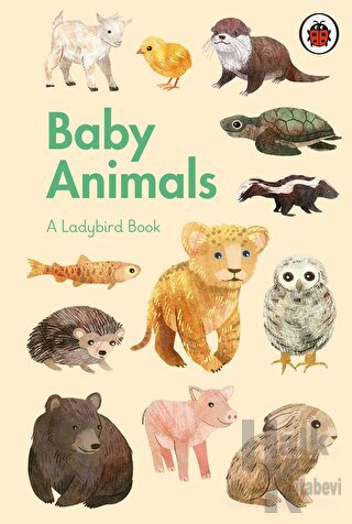 A Ladybird Book: Baby Animals (Ciltli)