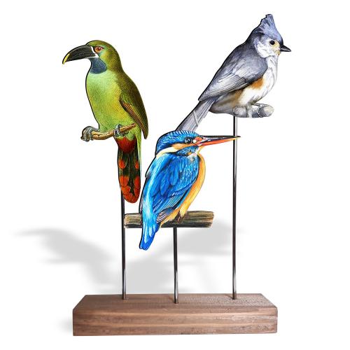 Ahşap Ayaklı Renkli Kuşlar Model 2 - Halkkitabevi