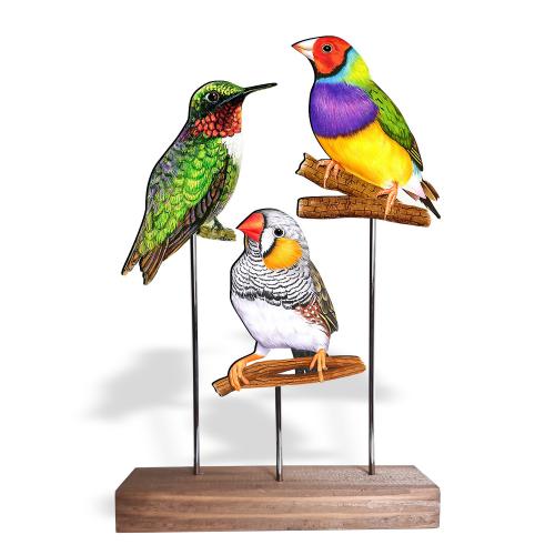 Ahşap Ayaklı Renkli Kuşlar Model 3 - Halkkitabevi