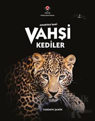 Anadolu'daki Vahşi Kediler - Halkkitabevi