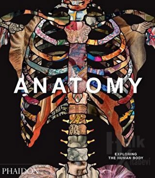 Anatomy (Ciltli) - Halkkitabevi