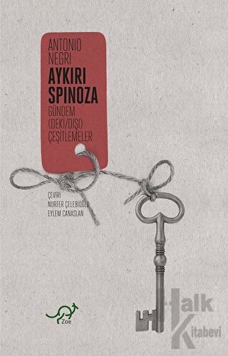 Aykırı Spinoza - Halkkitabevi