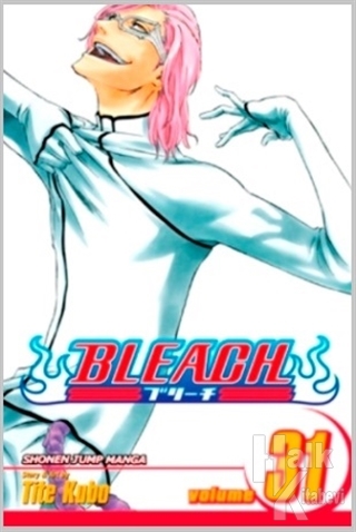 Bleach - Volume 31