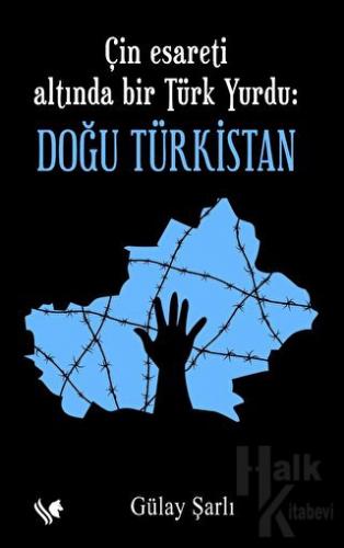 Çin Esareti Altında Bir Türk Yurdu: Doğu Türkistan