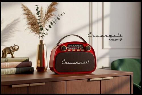 Crownwell Taşınabilir Bluetooth Retro Radyo Arizona Serisi (Metalik Kı