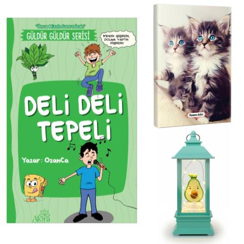 Deli Deli Tepeli - Maviş Kediler Planlama Defteri ve Avokado Fener Tipi Işıklı Kar Küresi