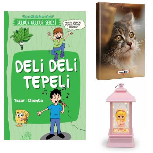 Deli Deli Tepeli - Minik Kedi Planlama Defteri ve Kedili Kız Fener Tipi Işıklı Kar Küresi