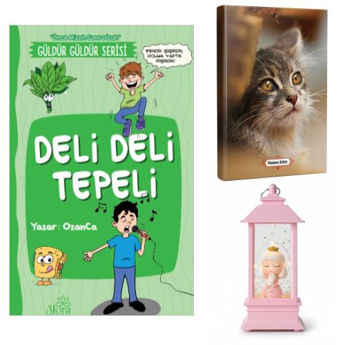 Deli Deli Tepeli - Minik Kedi Planlama Defteri ve Kedili Prenses Fener Tipi Işıklı Kar Küresi