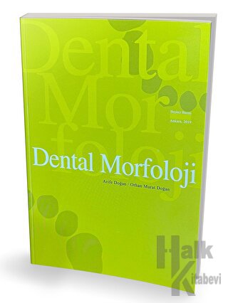Dental Morfoloji