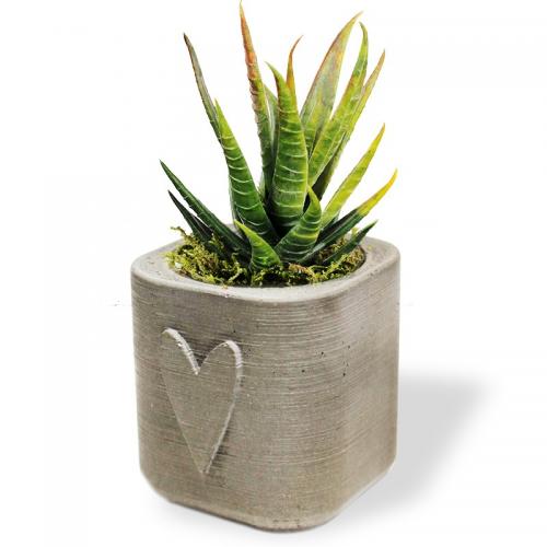 Dikdörtgen Kalpli Beton Saksı - Halkkitabevi