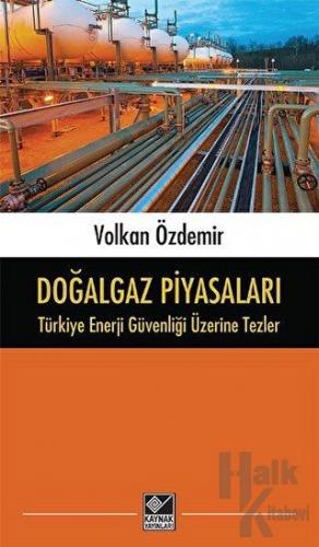 Doğalgaz Piyasaları - Türkiye Enerji Güvenliği Üzerine Tezler - Halkki
