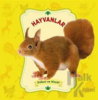 Dokun ve Hisset: Hayvanlar