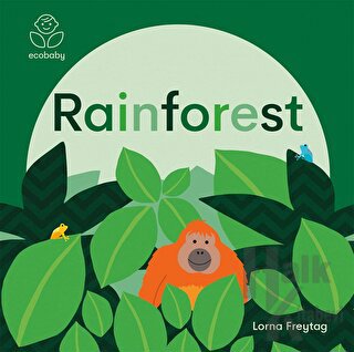 Eco Baby: Rainforest (Ciltli)