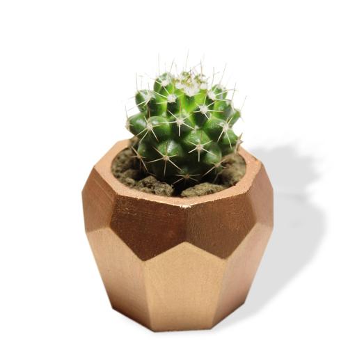 Elmas Beton Saksı - Bakır - Halkkitabevi