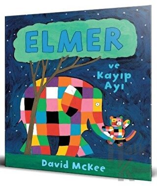 Elmer ve Kayıp Ayı