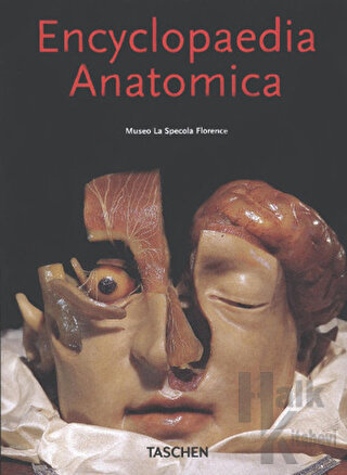Encyclopaedia Anatomica (Ciltli)