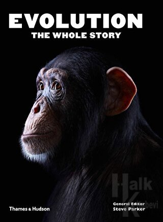 Evolution: The Whole Story - Halkkitabevi