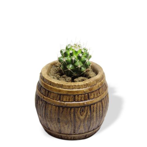 Fıçı Beton Saksı - Ahşap Rengi - Halkkitabevi