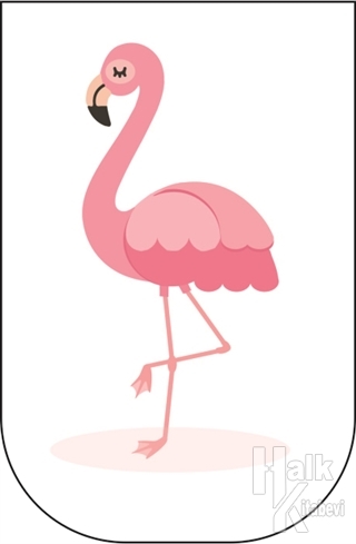 Flamingo - 10'lu Ayraç - Halkkitabevi