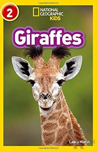Giraffes (Readers 2) - Halkkitabevi