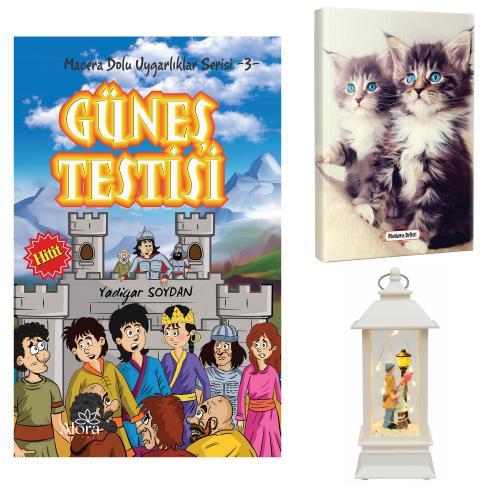 Güneş Testisi - Maviş Kediler Planlama Defteri ve Sokak Lambalı Aşk Fener Tipi Işıklı Kar Küresi