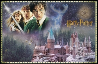 Harry Potter Poster - Halkkitabevi