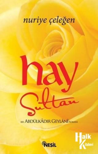 Hay Sultan - Bir Abdülkadir Geylani Romanı